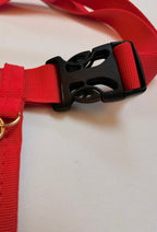 Glamnurse Fanny Pack & Headband